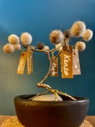 présentation de 3 arbres de vie avec les photos des animaux leur correspondant