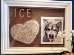 Cadre souvenir d'Ice : cœur au crochet en laine de chien, prénom et photo